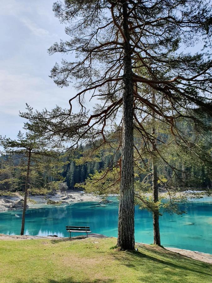 Ferienwohnung Stenna Selva An Toplage Flims Esterno foto