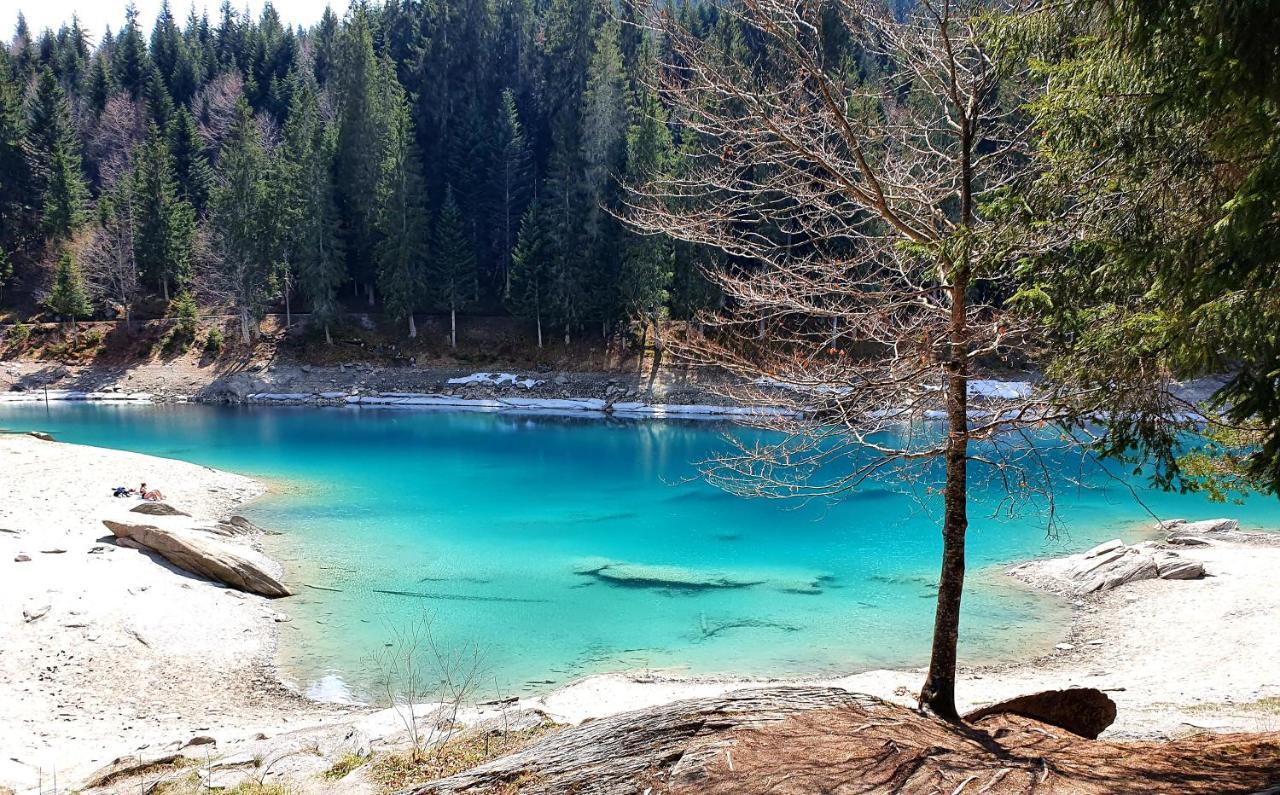 Ferienwohnung Stenna Selva An Toplage Flims Esterno foto